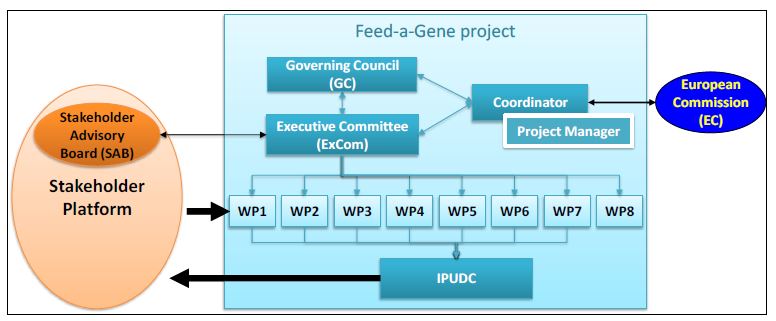 Governance structure