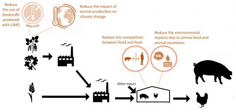 Environmental challenges addressed in Feed-a-Gene