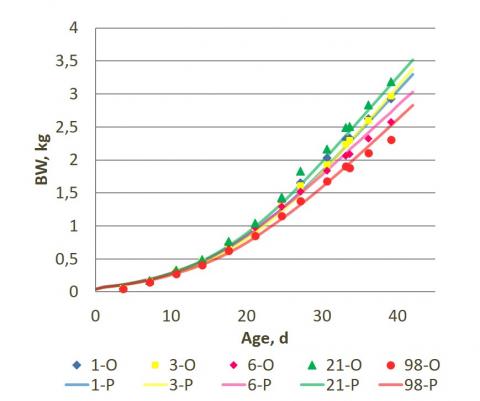 Observed body weight (kg, dots) and predicted body weight (line) from five different datasets of Cobb broilers (Dukhta et al., 2018, Kaposvár University)