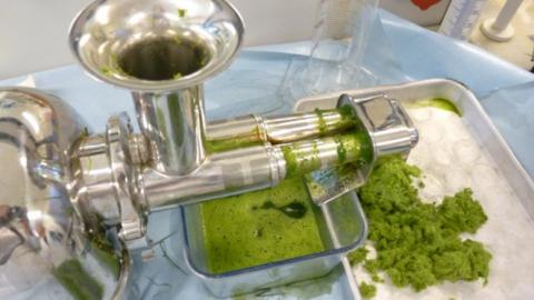 Green protein production, lab scale (Aarhus University)