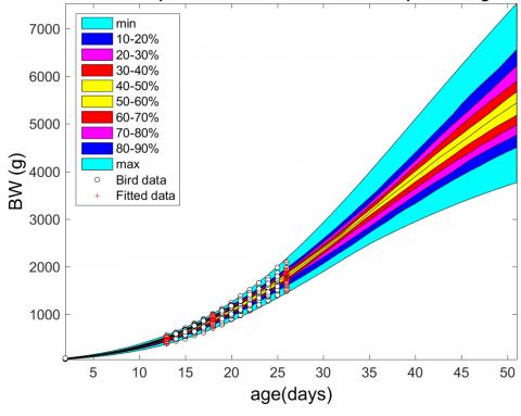 Population distribution of fitted and predicted growth of high performing broilers (University of Newcastle)