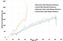 Age vs. daily feed intake in standard and Label Rouge broilers fed standard or alternative diets (INRA)