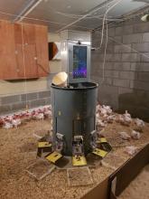 Broiler feeding station